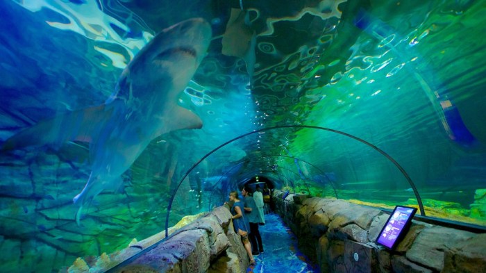 Aquarium sydney